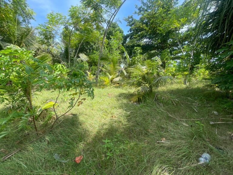 Tapak Cadangan Gelanggang Sukan 2 dalam 1 Kg. Suangon Papar